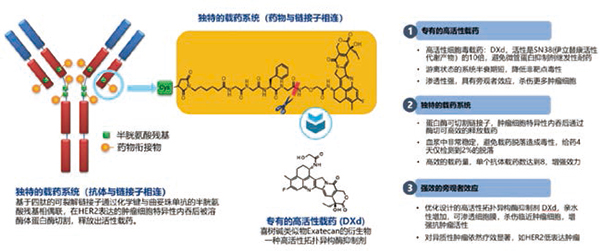 270-271期《全球肿瘤快讯》-97.jpg
