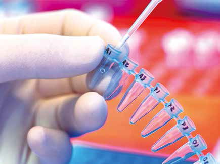 乳腺癌和卵巢癌的致病活性变异体分析