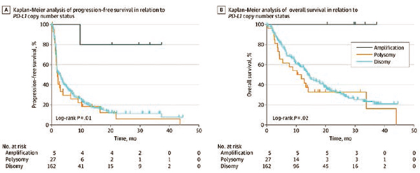 NSCLC 肿瘤PD-L1扩增与纳武利尤单抗疗效相关